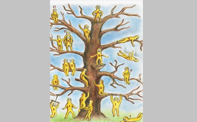  شجرة الحياة: إختبار يكشف الصفة الطاغية على شخصيتكِ من خلال سؤال واحد فقط! 3ccbca5cf5facd54c25c8f4686863655b82ca90c